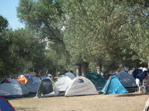 Çadır Camping - Turan Köyü